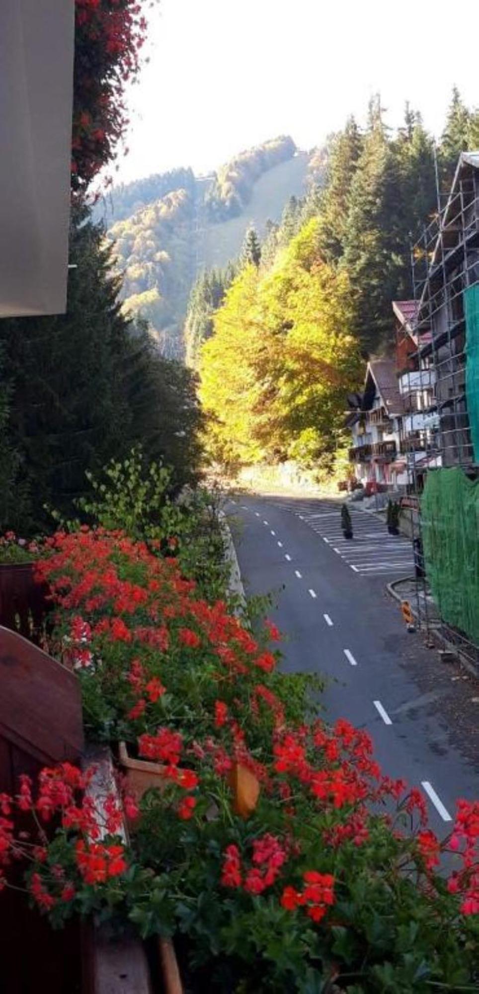 Pensiunea Anotimpuri Predeal Dış mekan fotoğraf